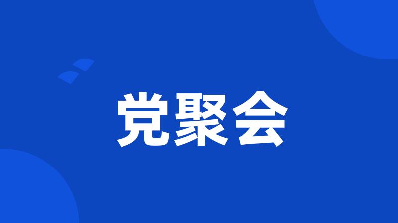 党聚会