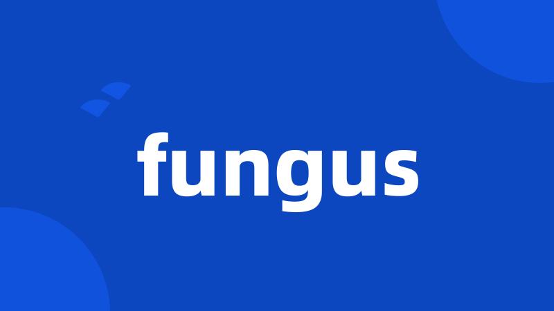 fungus