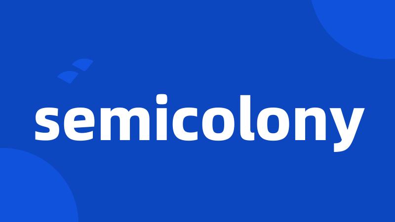 semicolony
