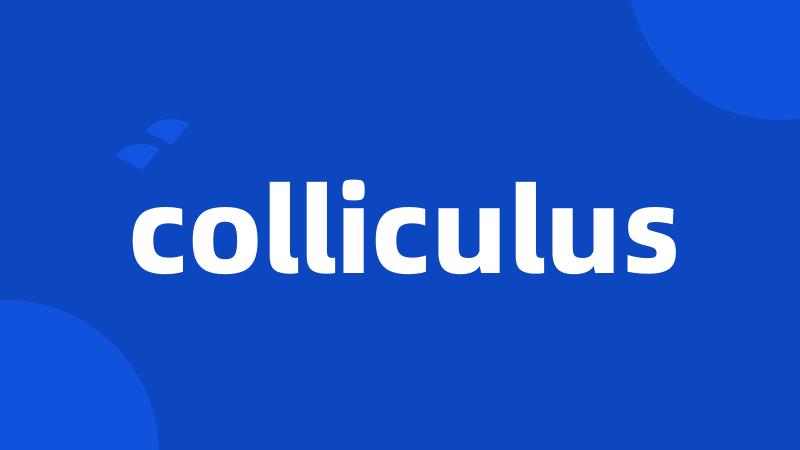 colliculus