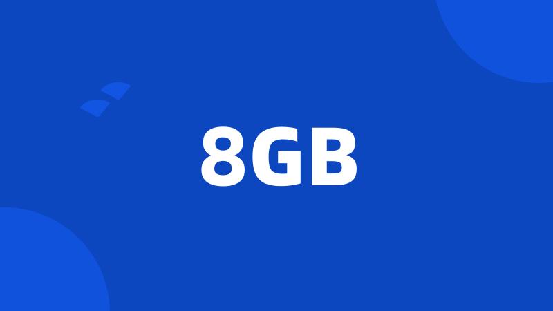 8GB