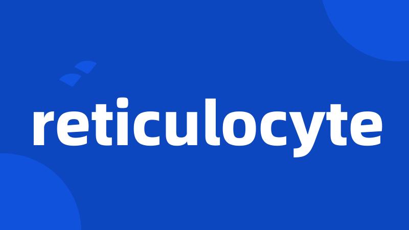 reticulocyte