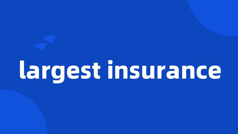 largest insurance