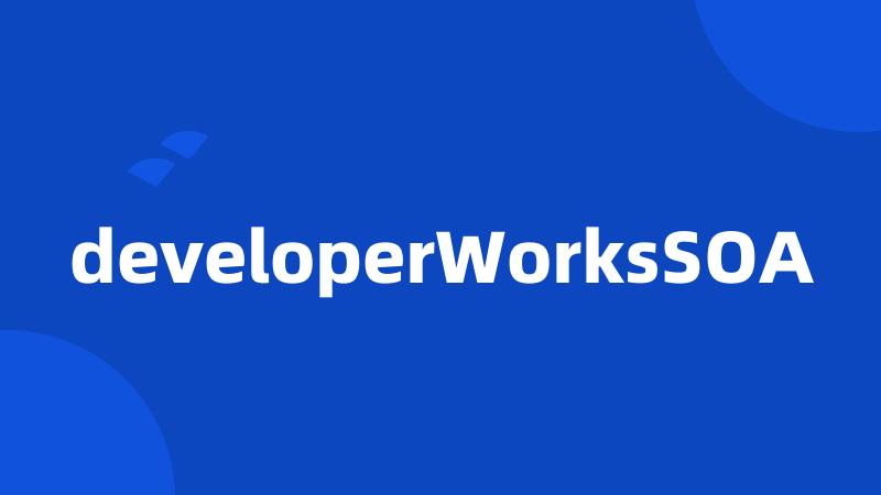 developerWorksSOA