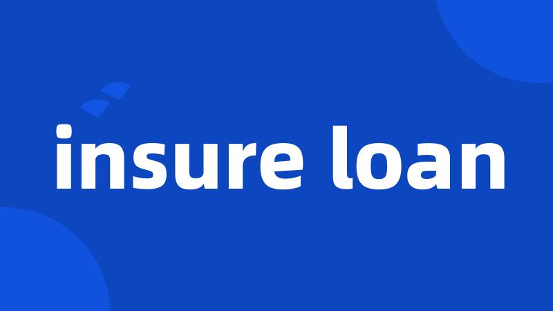 insure loan