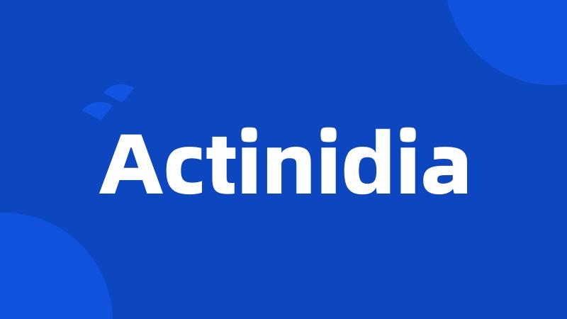 Actinidia