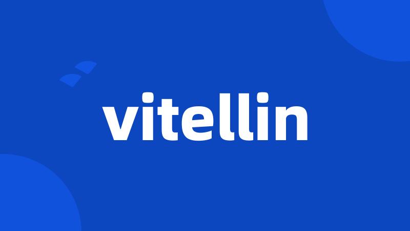 vitellin