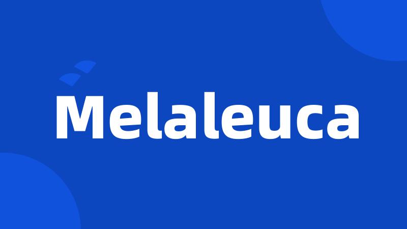 Melaleuca