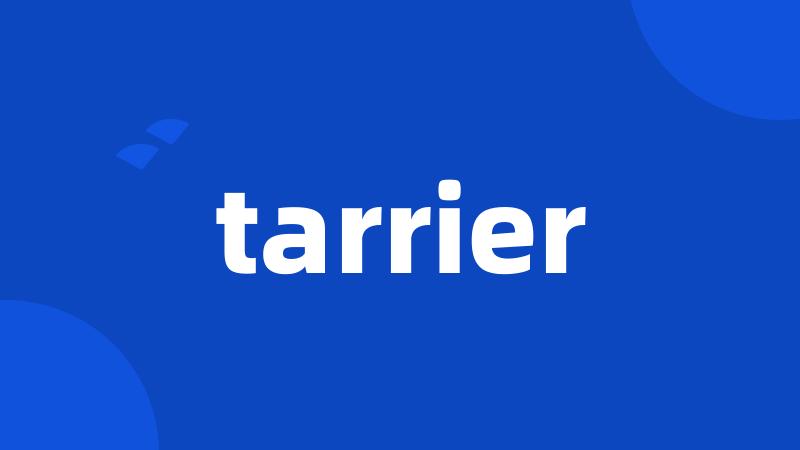 tarrier