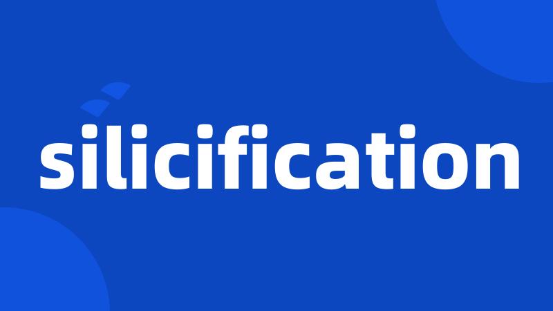 silicification