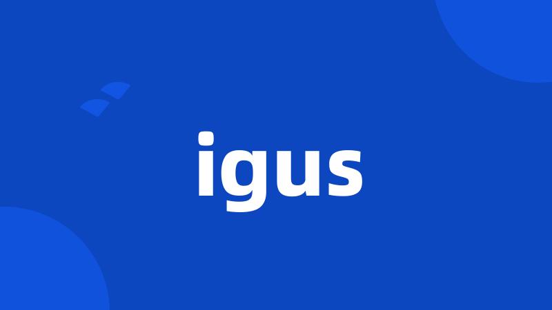 igus