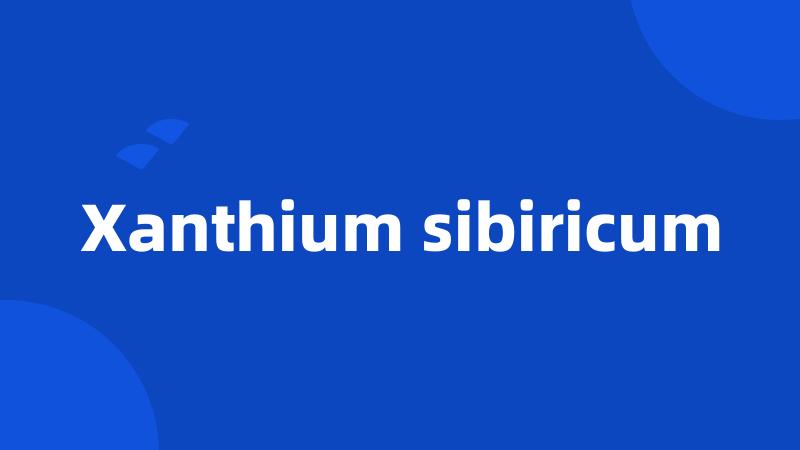 Xanthium sibiricum