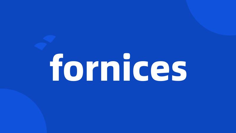 fornices