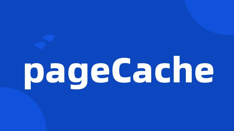 pageCache