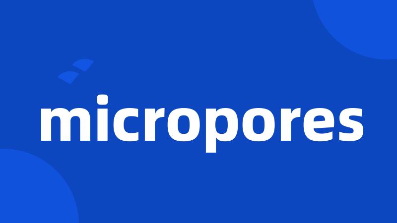 micropores