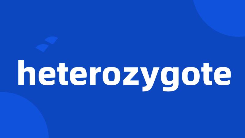 heterozygote