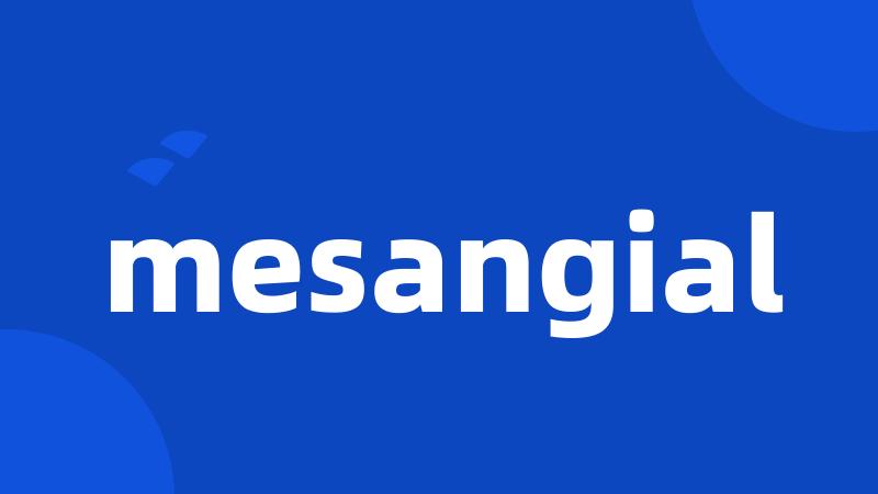 mesangial