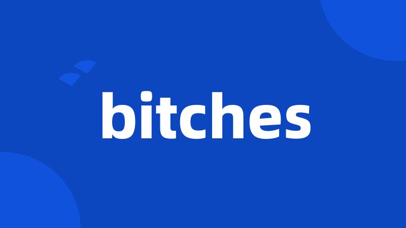 bitches