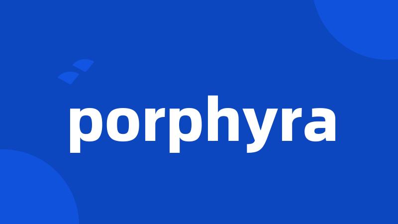 porphyra