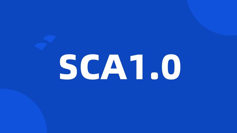 SCA1.0