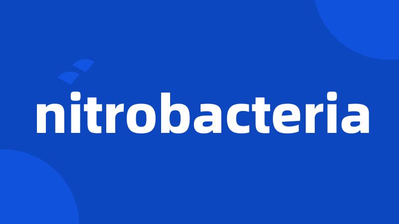 nitrobacteria