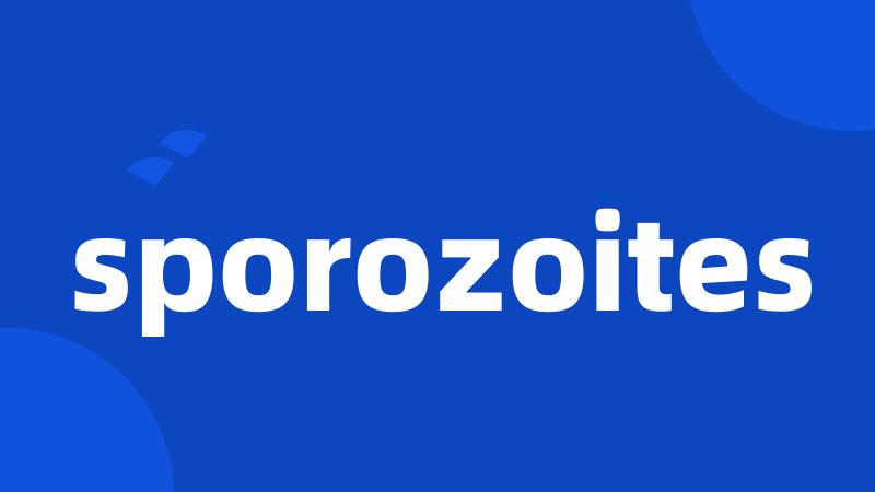 sporozoites