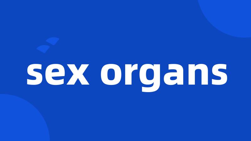 sex organs