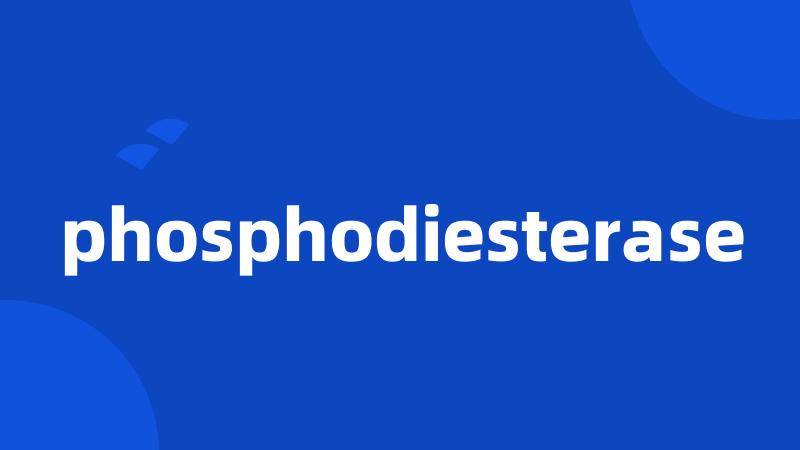 phosphodiesterase