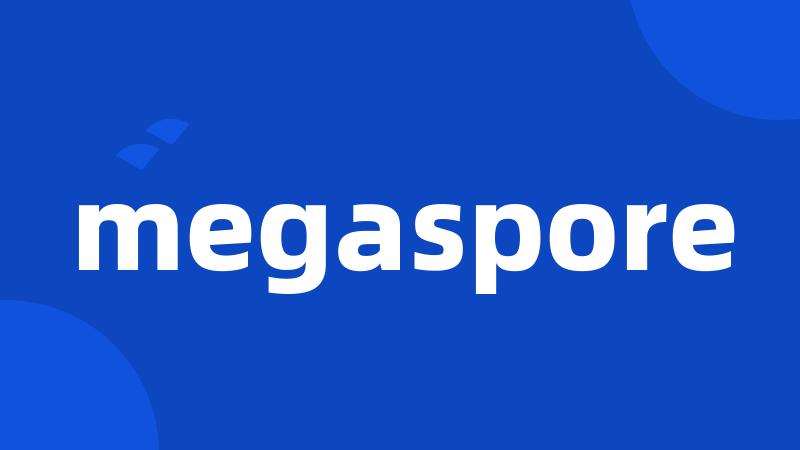 megaspore