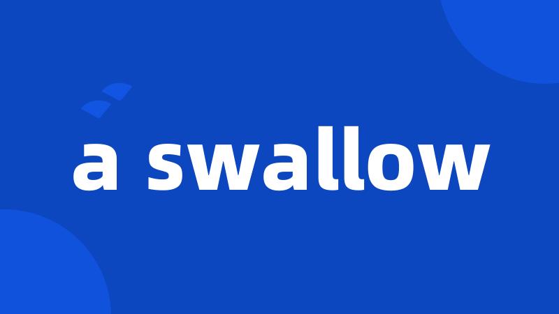 a swallow