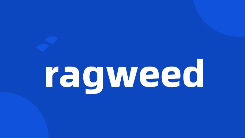 ragweed