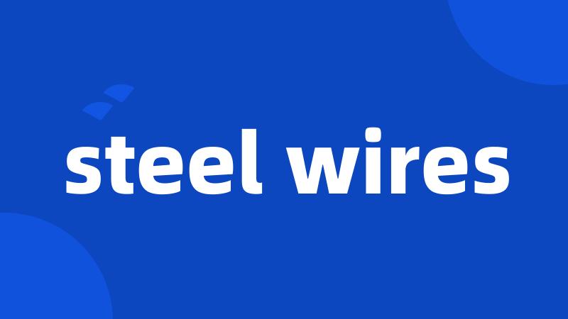 steel wires
