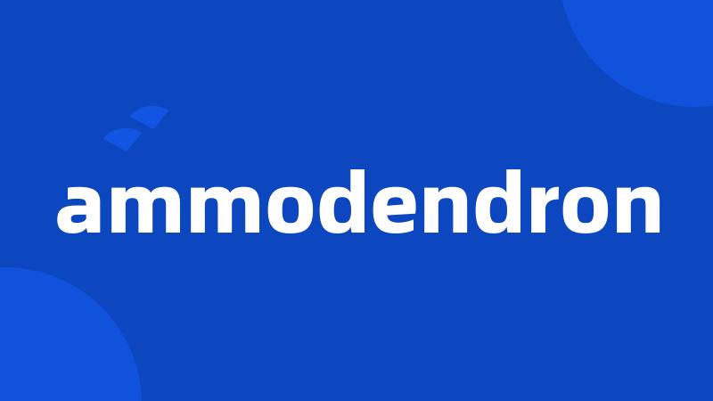 ammodendron