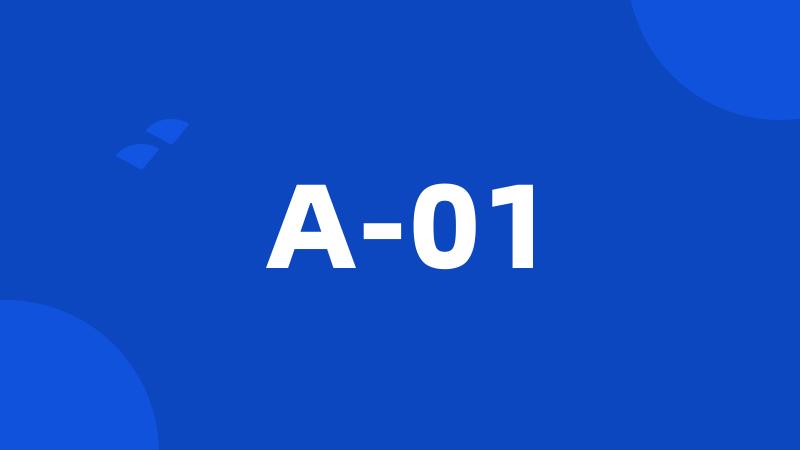 A-01