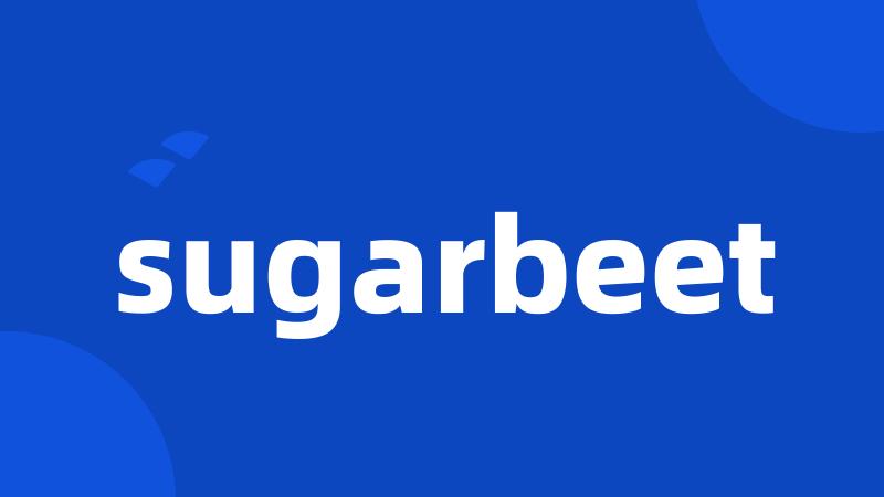 sugarbeet