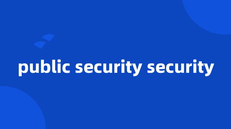 public security security
