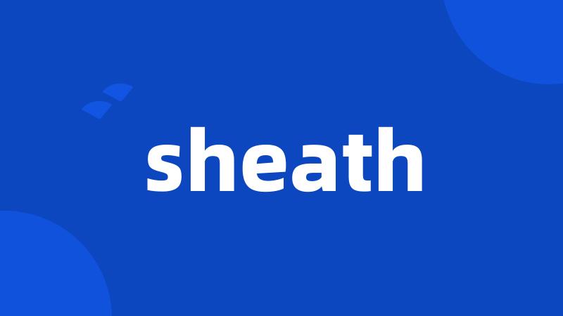 sheath