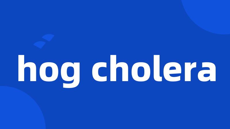 hog cholera