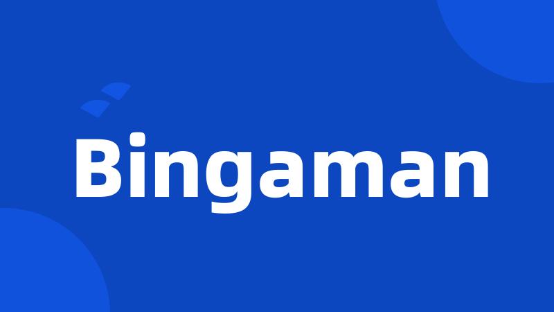 Bingaman