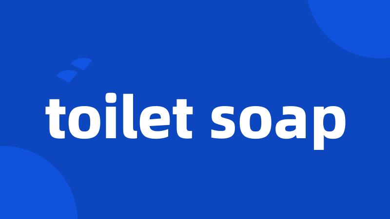 toilet soap