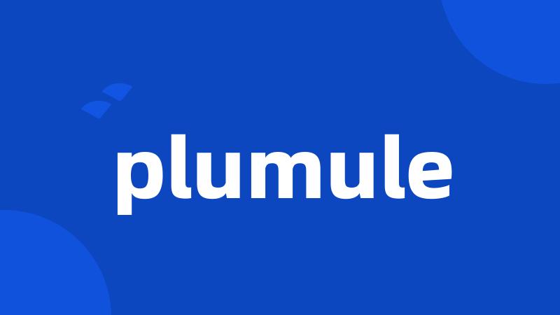 plumule