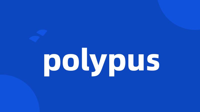 polypus