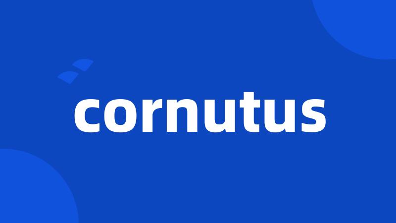 cornutus