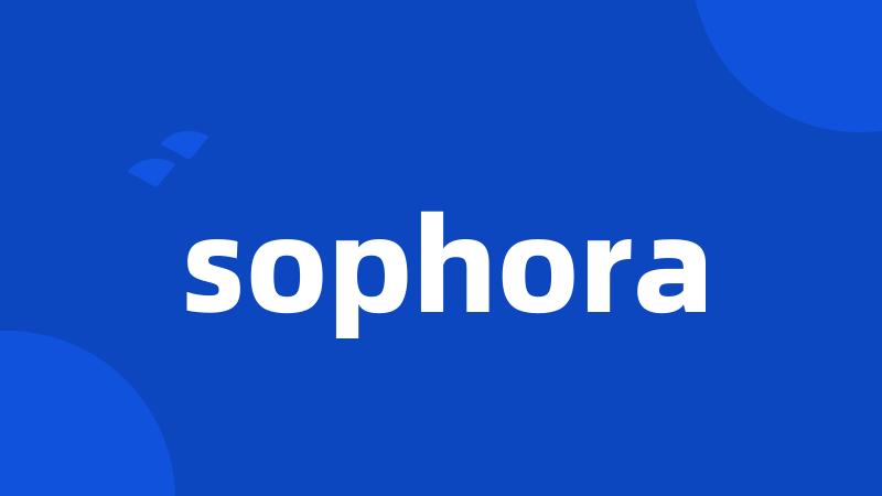 sophora