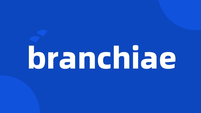 branchiae