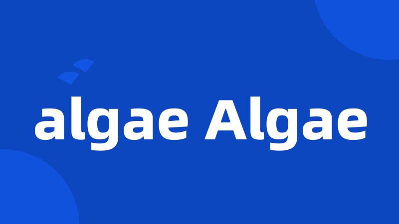 algae Algae