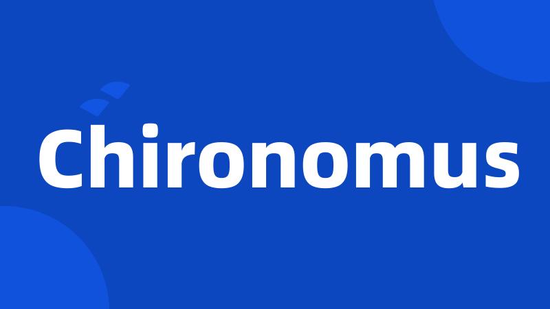 Chironomus