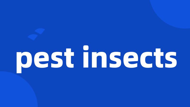 pest insects