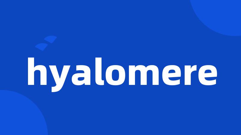 hyalomere