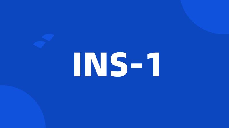 INS-1